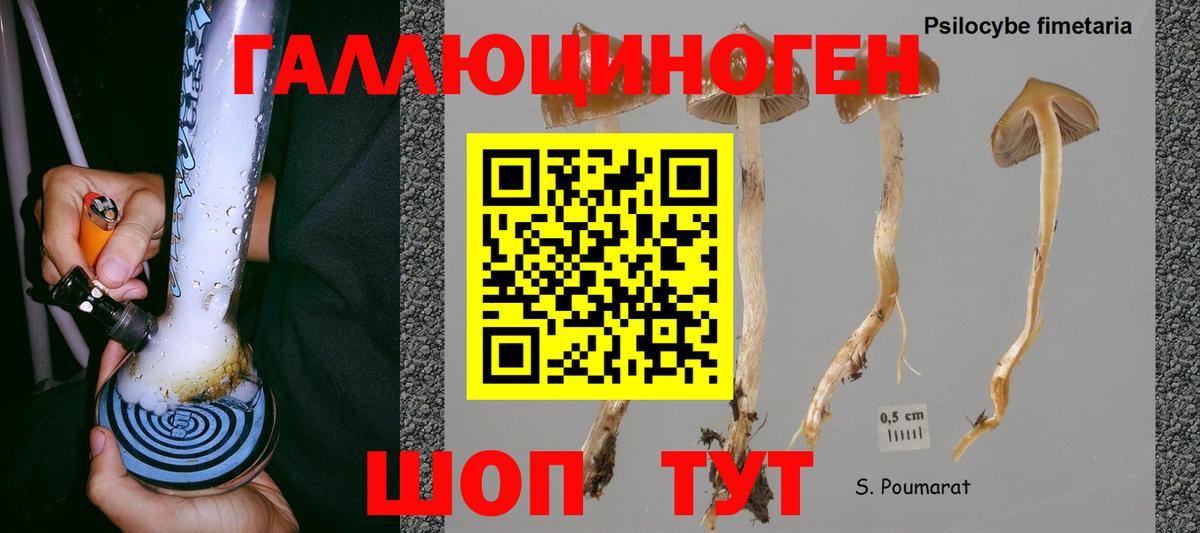 Псилоцибиновые грибы прущие грибы  Псилоцибиновые грибы GOLDEN TEACHER  Вход с VPN  Верхний Уфалей 